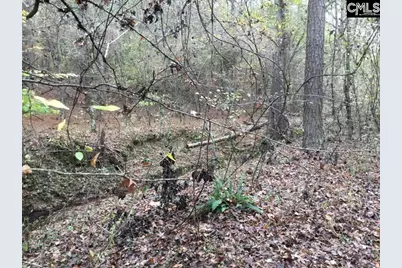 Old Cherokee Road, Blair, SC 29015 - Photo 15