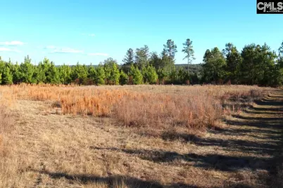 Mobley Highway, Winnsboro, SC 29180 - Photo 19