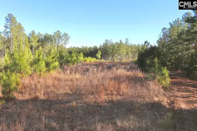 Mobley Highway, Winnsboro, SC 29180 - Photo 23