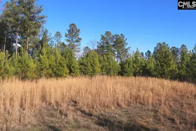 Mobley Highway, Winnsboro, SC 29180 - Photo 21