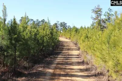 Mobley Highway, Winnsboro, SC 29180 - Photo 11