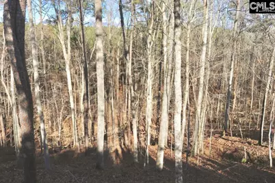 Mobley Highway, Winnsboro, SC 29180 - Photo 13