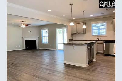 172 Sunsation Drive, Chapin, SC 29036 - Photo 3