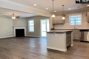 172 Sunsation Dr, Chapin, SC 29036 - Photo 3