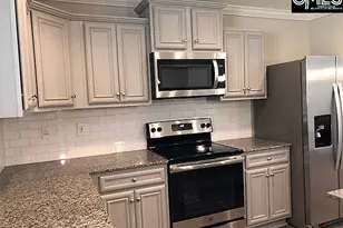 172 Sunsation Dr, Chapin, SC 29036 - Photo 5
