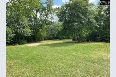 967 Clay Hill Road, Pelion, SC 29123 - Photo 11