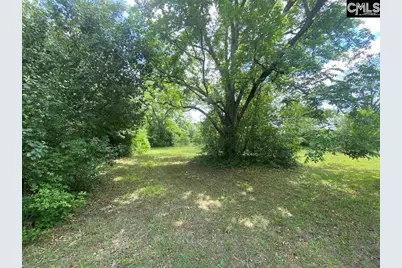 967 Clay Hill Road, Pelion, SC 29123 - Photo 9