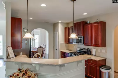 631 Twisted Oak Court, Lexington, SC 29073 - Photo 9