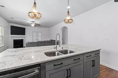 733 N Pinewalk Way, Elgin, SC 29045 - Photo 3