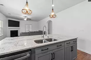 733 N Pinewalk Way, Elgin, SC 29045 - Photo 3
