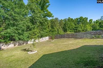 559 Foxstone Drive, Chapin, SC 29036 - Photo 37