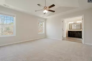 247 Honey Hill Way, Blythewood, SC 29016 - Photo 19