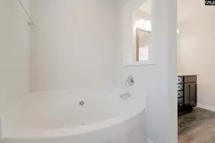 239 Honey Hill Way, Blythewood, SC 29016 - Photo 25