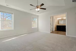 239 Honey Hill Way, Blythewood, SC 29016 - Photo 21