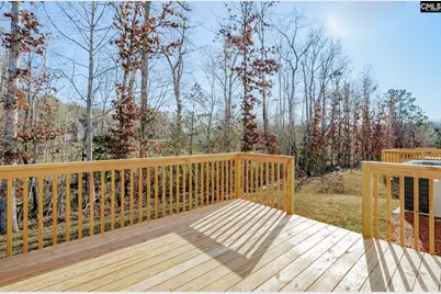 239 Honey Hill Way, Blythewood, SC 29016 - Photo 5