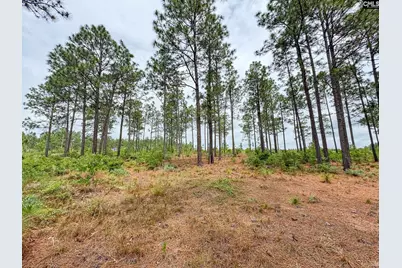 0 Neely Wingard Road Lot 2 #Lot 2, Gilbert, SC 29054 - Photo 3