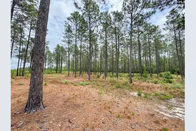 0 Neely Wingard Road Lot 2 #Lot 2, Gilbert, SC 29054 - Photo 1