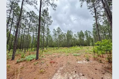 0 Neely Wingard Road Lot 3 #Lot 3, Gilbert, SC 29054 - Photo 3