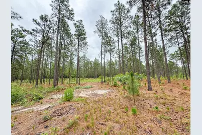 0 Neely Wingard Road Lot 3 #Lot 3, Gilbert, SC 29054 - Photo 1