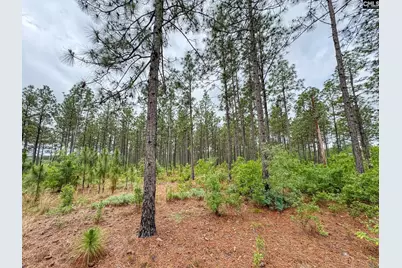 0 Neely Wingard Road Lot 5 #Lot 5, Gilbert, SC 29054 - Photo 7