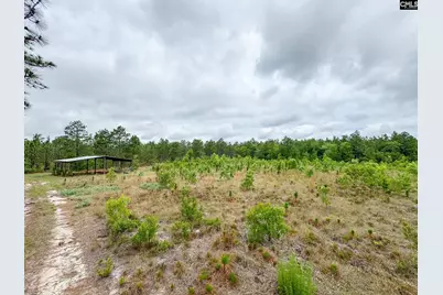 0 Neely Wingard Road Lot 5 #Lot 5, Gilbert, SC 29054 - Photo 9