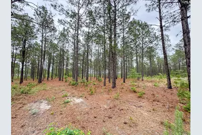 0 Neely Wingard Road Lot 6 #Lot 6, Gilbert, SC 29054 - Photo 1