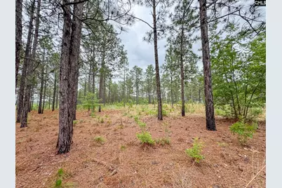 0 Neely Wingard Road Lot 6 #Lot 6, Gilbert, SC 29054 - Photo 3