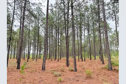 0 Neely Wingard Road Lot 6 #Lot 6, Gilbert, SC 29054 - Photo 5