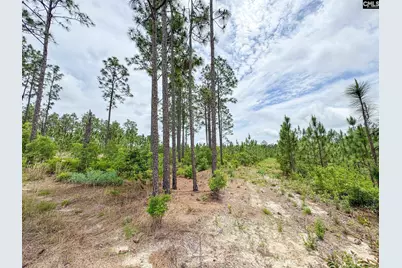 0 Neely Wingard Road Lot 7 #Lot 7, Gilbert, SC 29054 - Photo 3