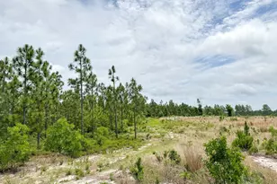 0 Neely Wingard Rd Lot 8, Gilbert, SC 29054 - Photo 1