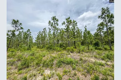 0 Neely Wingard Road Lot 8 #Lot 8, Gilbert, SC 29054 - Photo 3