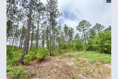 0 Neely Wingard Road Lot 9 #Lot 9, Gilbert, SC 29054 - Photo 3