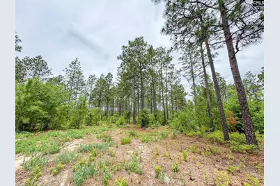 0 Neely Wingard Road Lot 9 #Lot 9, Gilbert, SC 29054 - Photo 1