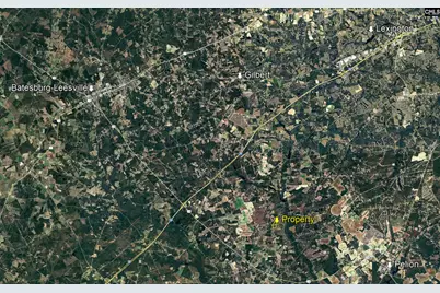 0 Neely Wingard Road Lot 9 #Lot 9, Gilbert, SC 29054 - Photo 5