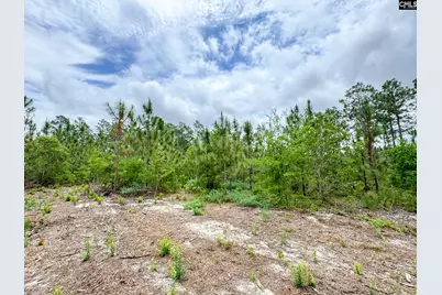 0 Neely Wingard Road Lot 10 #Lot 10, Gilbert, SC 29054 - Photo 3