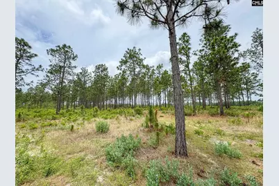 0 Neely Wingard Road Lot 11 #Lot 11, Gilbert, SC 29054 - Photo 3