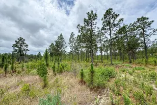 0 Neely Wingard Rd Lot 12, Gilbert, SC 29054 - Photo 1