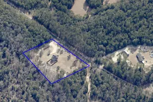 214 Millers Pond Rd, Salley, SC 29137 - Photo 39