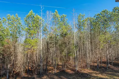 00 S Hwy 81 3 #3, Calhoun Falls, SC 29628 - Photo 27