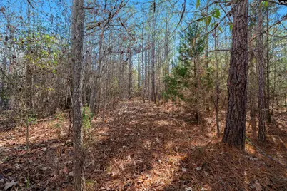 00 S Hwy 81 3 #3, Calhoun Falls, SC 29628 - Photo 21