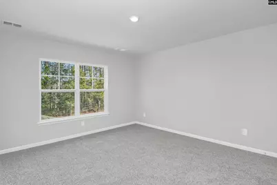 227 Boseman Road, Irmo, SC 29063 - Photo 37