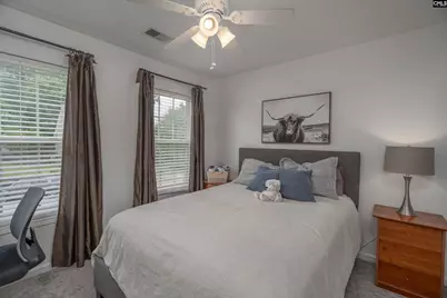 173 Oldtown Drive, Lexington, SC 29072 - Photo 25