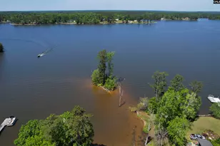 240 Saluda Waters Point, Leesville, SC 29070 - Photo 9