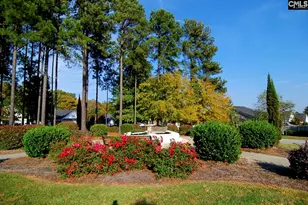 1033 Ivy Green Cir, Irmo, SC 29063 - Photo 41
