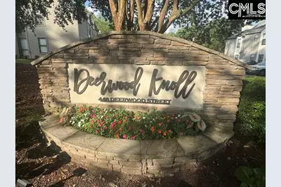 448 Deerwood Street 4E, Columbia, SC 29205 - Photo 1