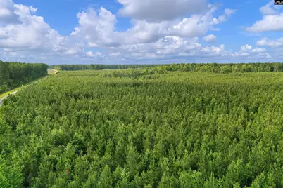 0000 N Brewington Road 10 #10, Manning, SC 29102 - Photo 13