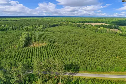 0000 N Brewington Road 10 #10, Manning, SC 29102 - Photo 7