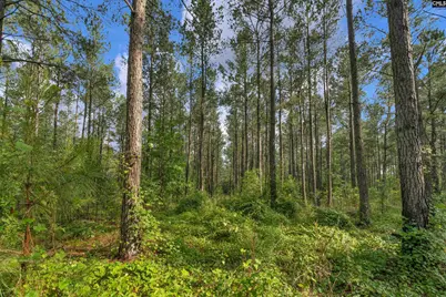 0000 N Brewington Road 10 #10, Manning, SC 29102 - Photo 27