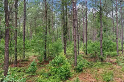 0000 N Brewington Road 10 #10, Manning, SC 29102 - Photo 11