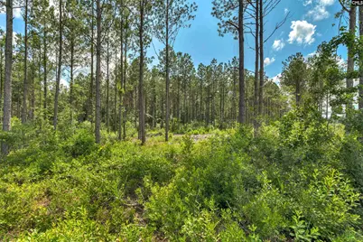 0000 N Brewington Road 10 #10, Manning, SC 29102 - Photo 3